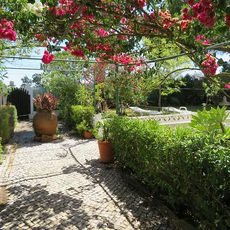 Hotel Alcaide 3*