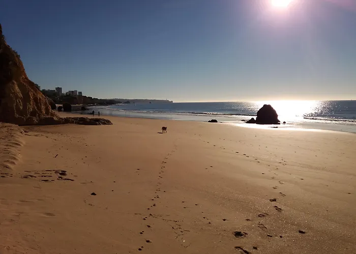 מלון Alcaide פורטימאו